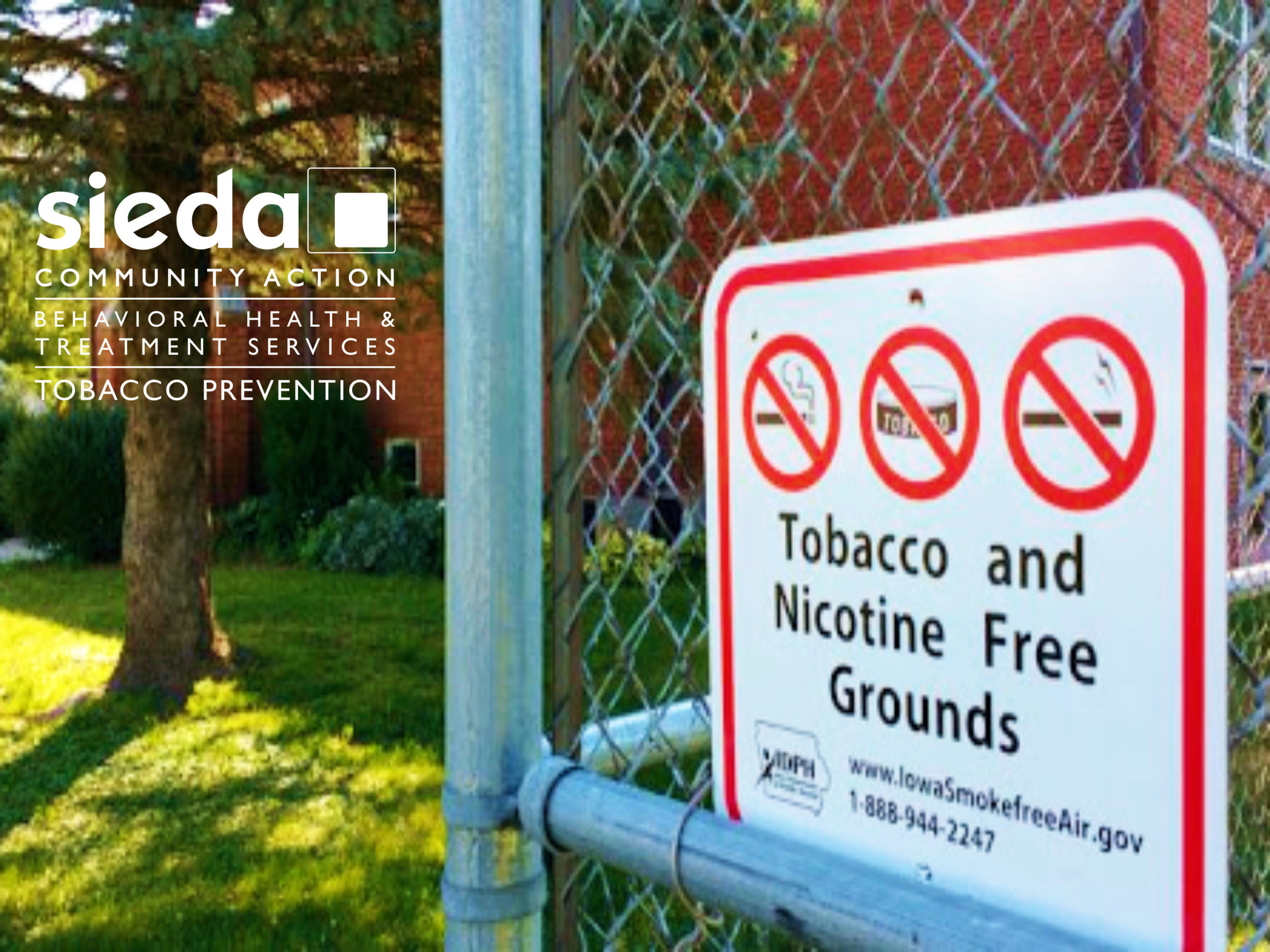 New TobaccoFree/NicotineFree Policy in the Area Sieda