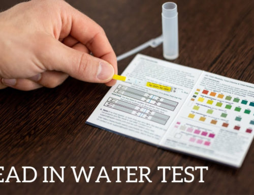 Sieda Head Start Students’ Water Testing 2023
